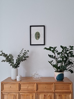 Framed Maranta watercolour hanging on a wall in the collector's home