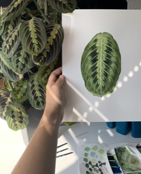 Finished Maranta leaf watercolour next to the living plant and colour palette