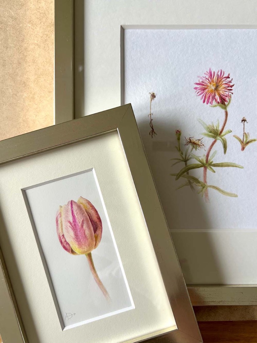 Two finished watercolours in warm olive-toned frames, leaning together