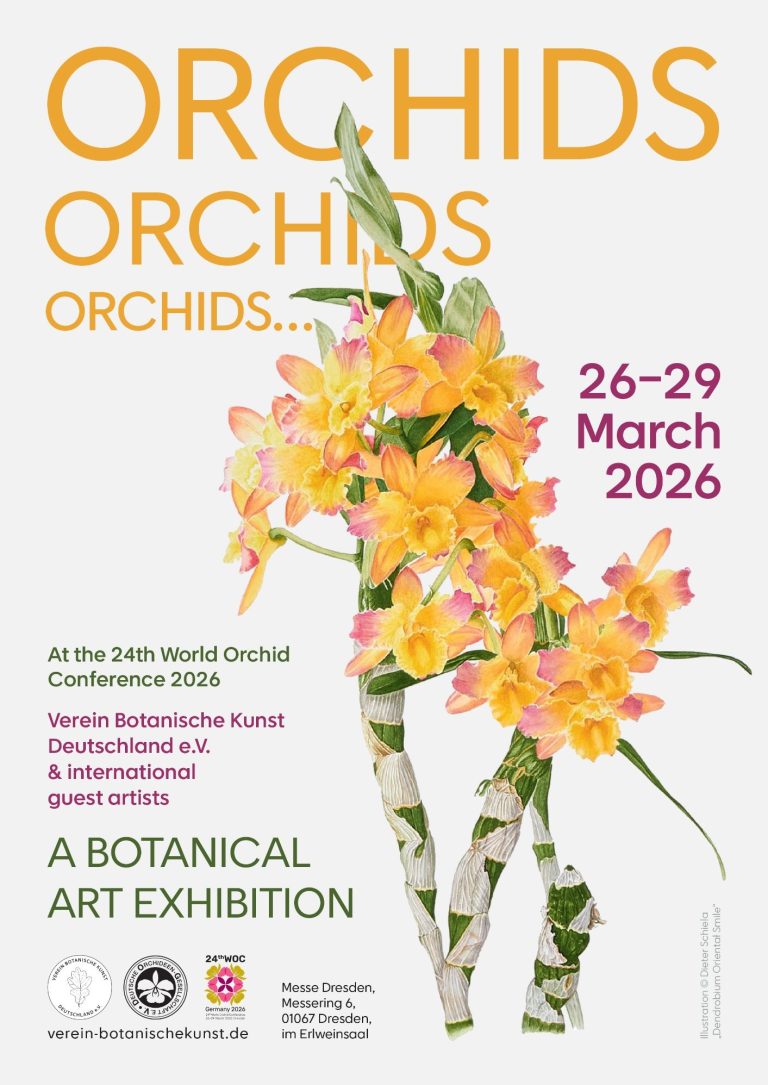 Official poster of the botanical art exhibition at the 24th World Orchid Conference 2026 in Dresden