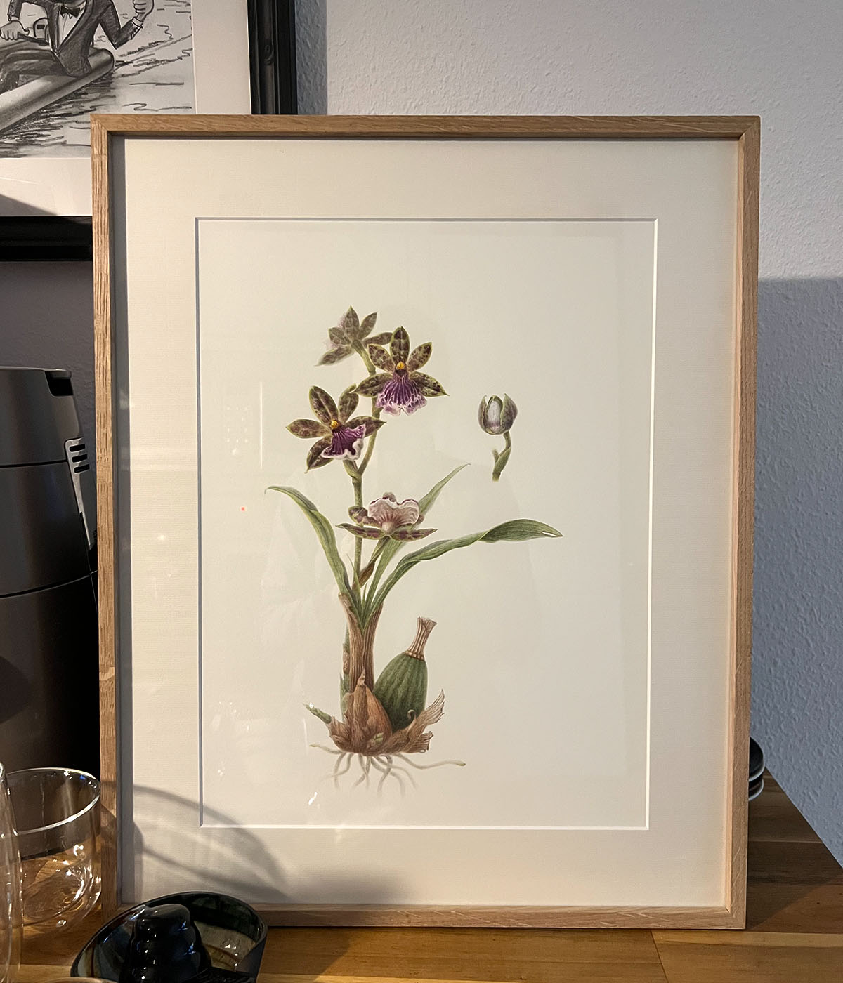 The framed Zygopetalum Hybrid painting at home — ready for the journey to Dresden
