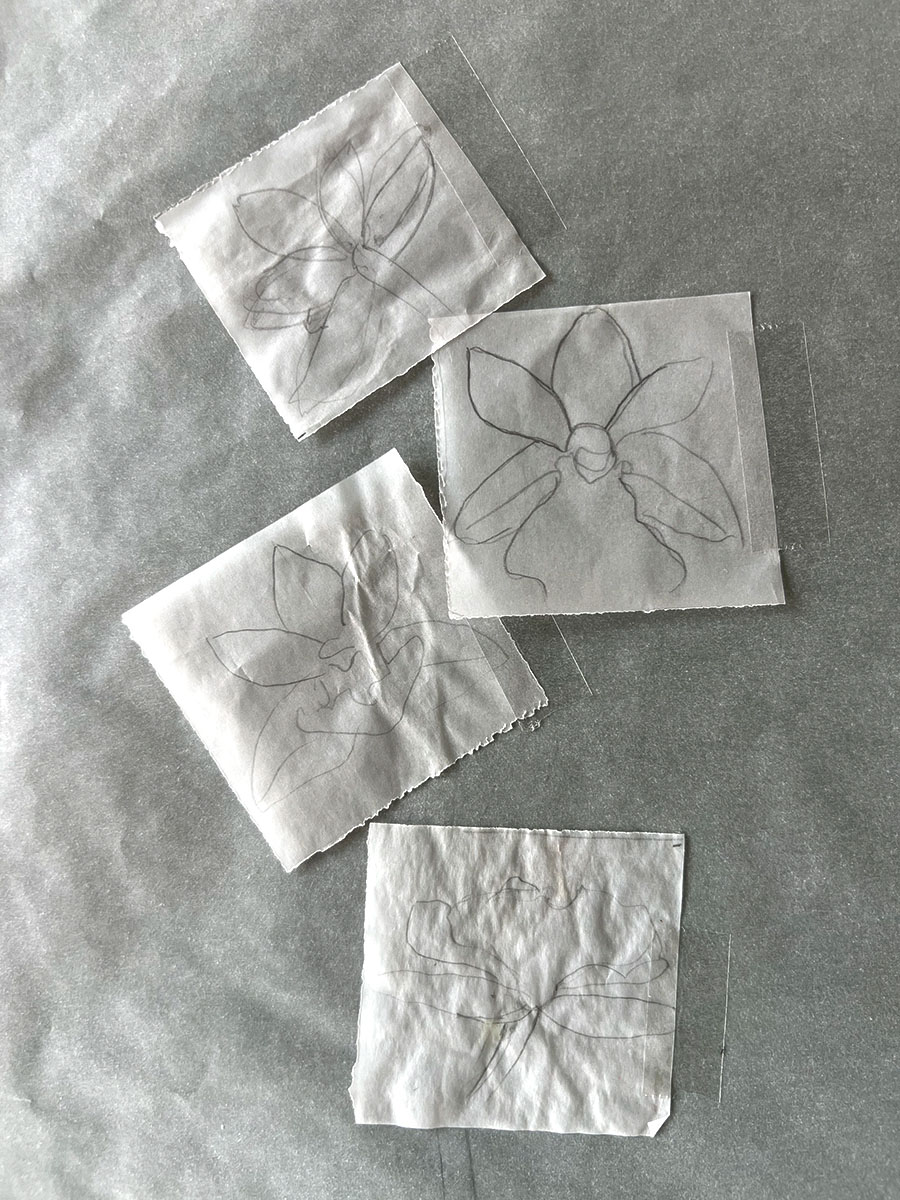 Tracing paper studies for the composition of the Zygopetalum Hybrid painting