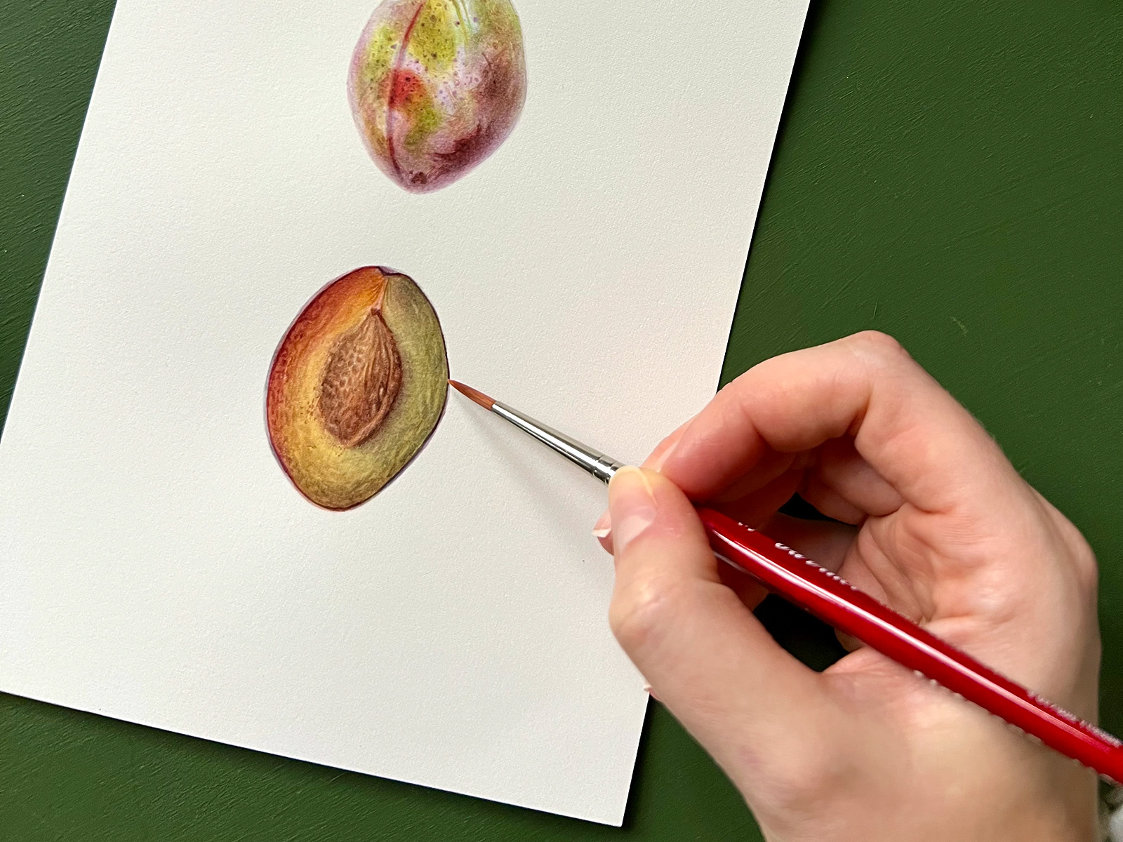 Overhead view of a botanical watercolour in progress — live painting course