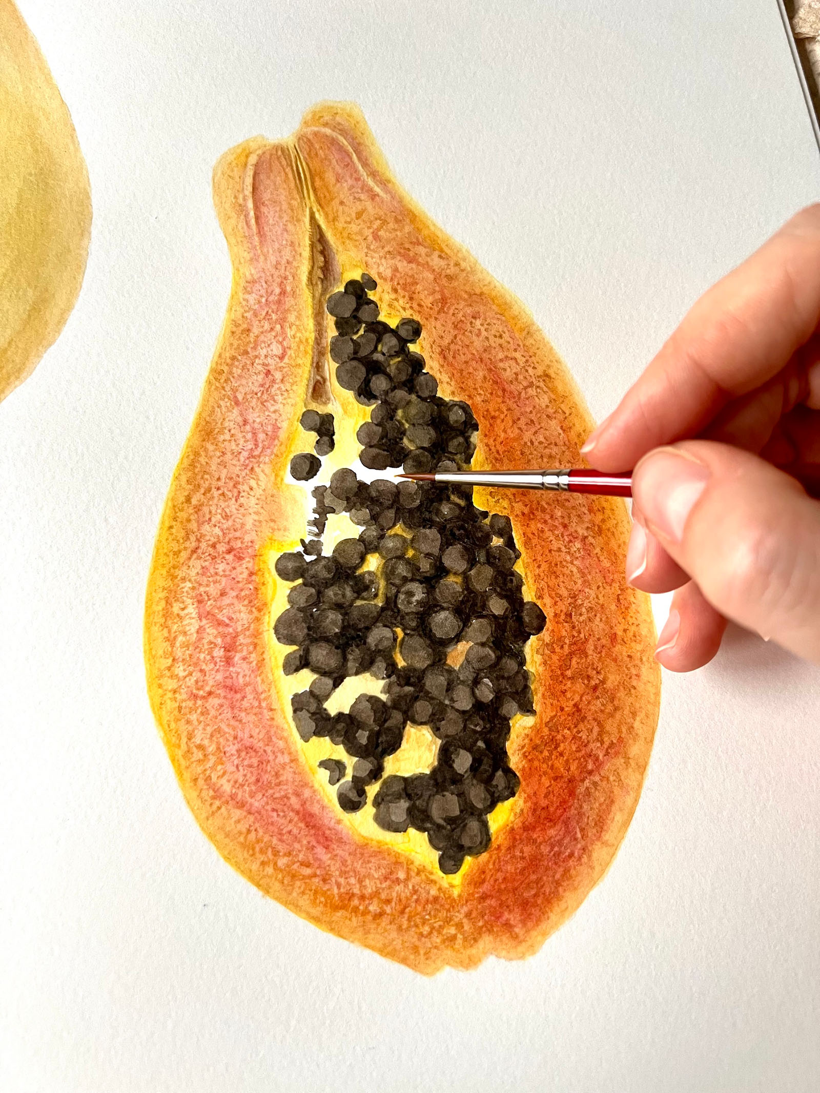 Carica papaya — Close-up detail, watercolour by Daria