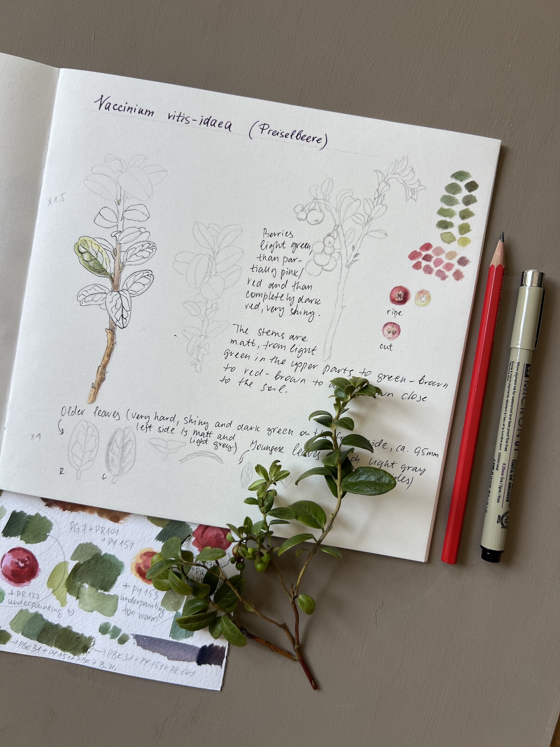 Of Blooming and Ripening - Detail